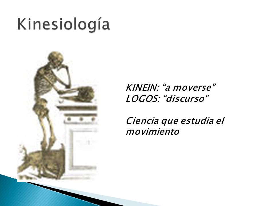 Kinesiología KINEIN: a moverse LOGOS: discurso