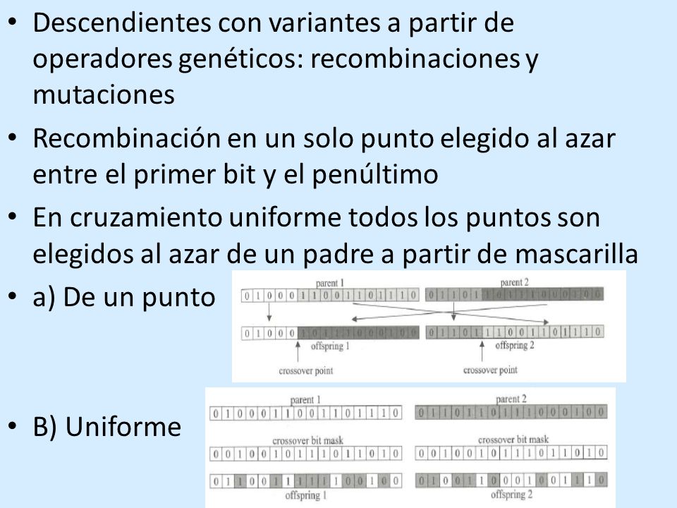 Descendientes con variantes a partir de operadores genéticos: recombinaciones y mutaciones