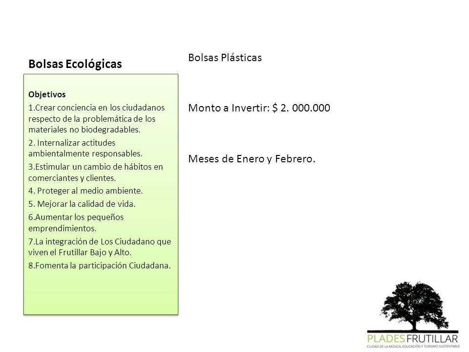 Bolsas Ecológicas Bolsas Plásticas Monto a Invertir: $ Meses de Enero y Febrero. Objetivos.