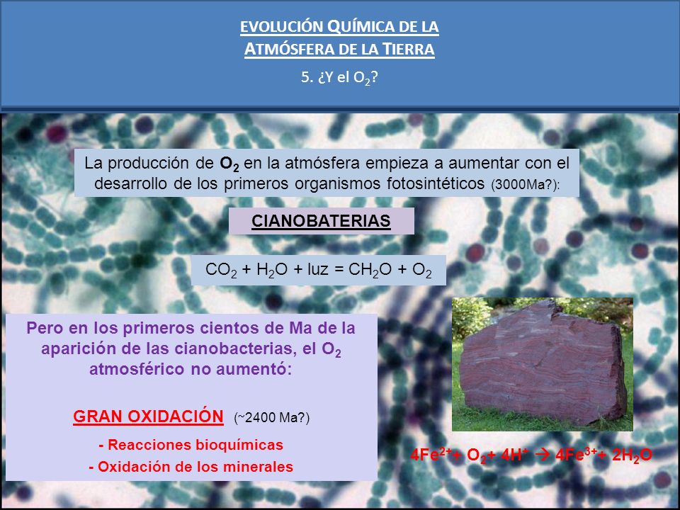 ATMÓSFERA DE LA TIERRA EVOLUCIÓN QUÍMICA DE LA 5. ¿Y el O2