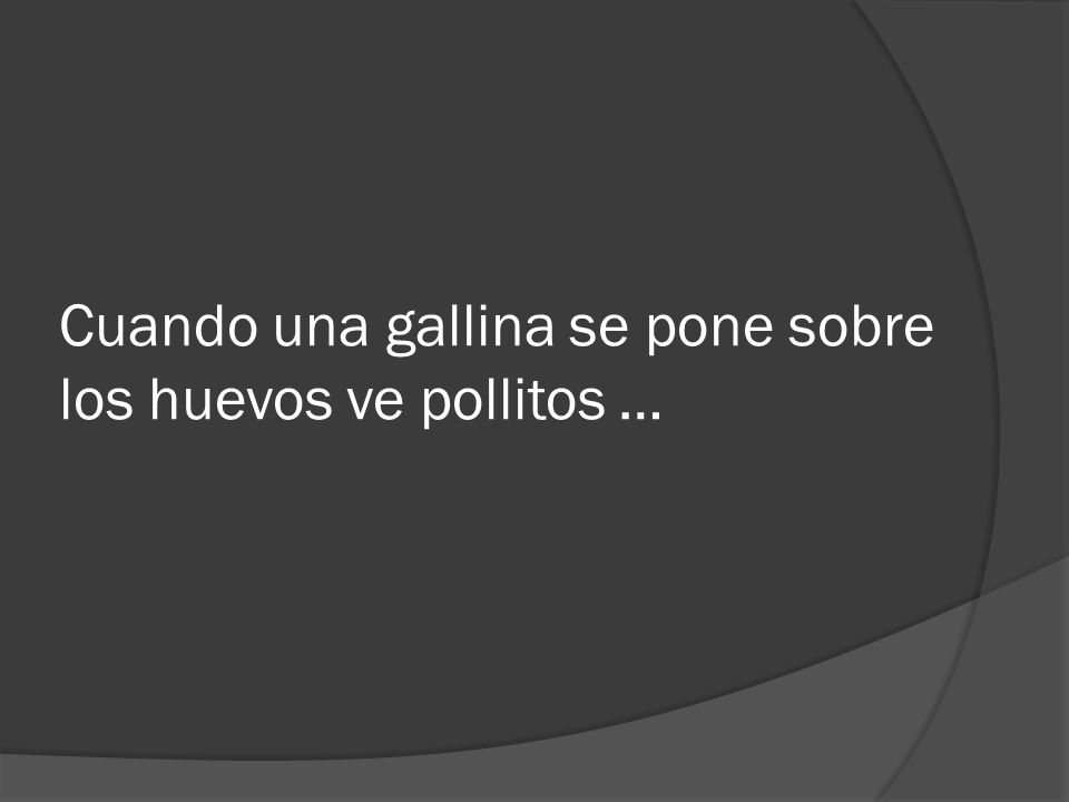 Cuando una gallina se pone sobre los huevos ve pollitos …