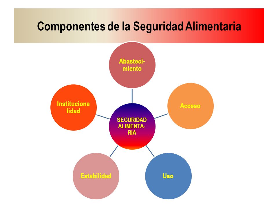 Componentes de la Seguridad Alimentaria