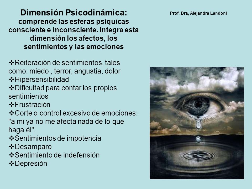 Dimensión Psicodinámica: comprende las esferas psíquicas consciente e inconsciente. Integra esta dimensión los afectos, los sentimientos y las emociones