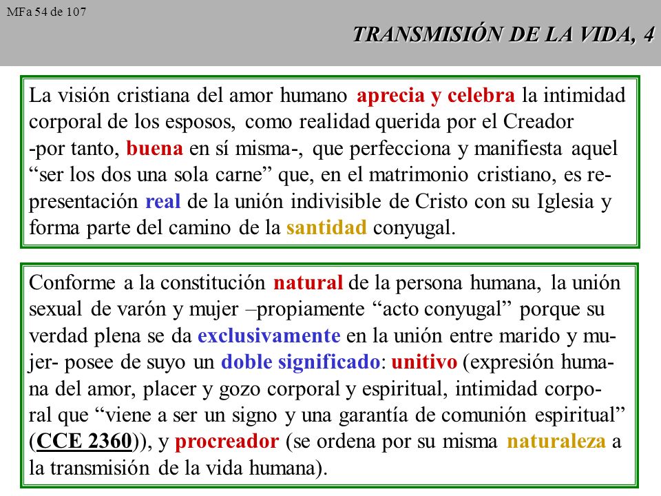 La visión cristiana del amor humano aprecia y celebra la intimidad