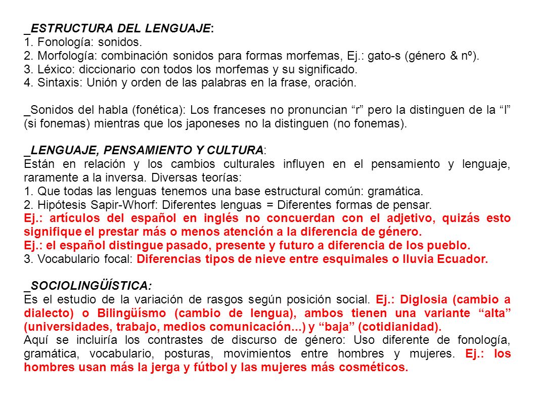 _ESTRUCTURA DEL LENGUAJE: