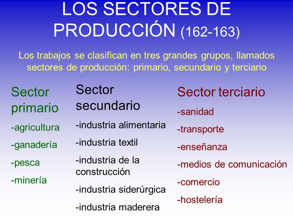 LOS SECTORES DE PRODUCCIÓN ( )
