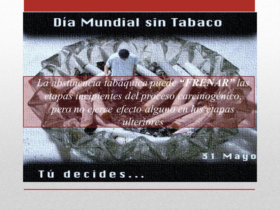 La abstinencia tabáquica puede FRENAR las etapas incipientes del proceso carcinogénico, pero no ejerce efecto alguno en las etapas ulteriores