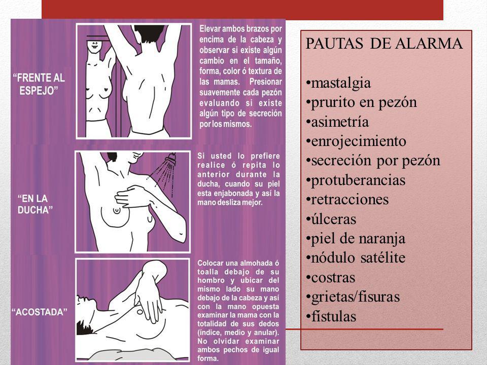 PAUTAS DE ALARMA mastalgia. prurito en pezón. asimetría. enrojecimiento. secreción por pezón. protuberancias.