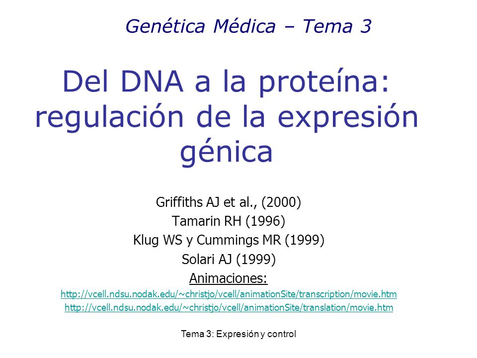 Del DNA a la proteína: regulación de la expresión génica