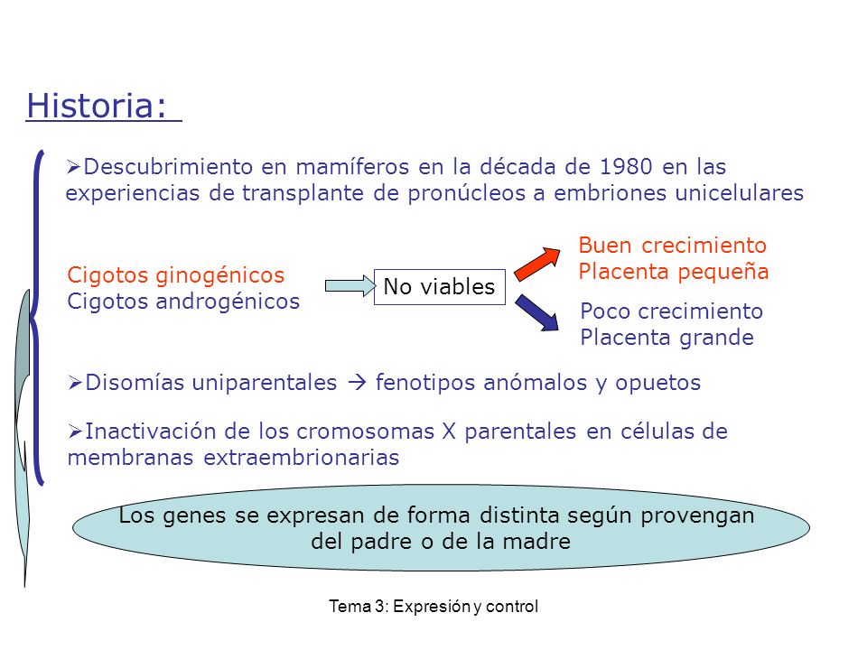 Historia: Descubrimiento en mamíferos en la década de 1980 en las experiencias de transplante de pronúcleos a embriones unicelulares.
