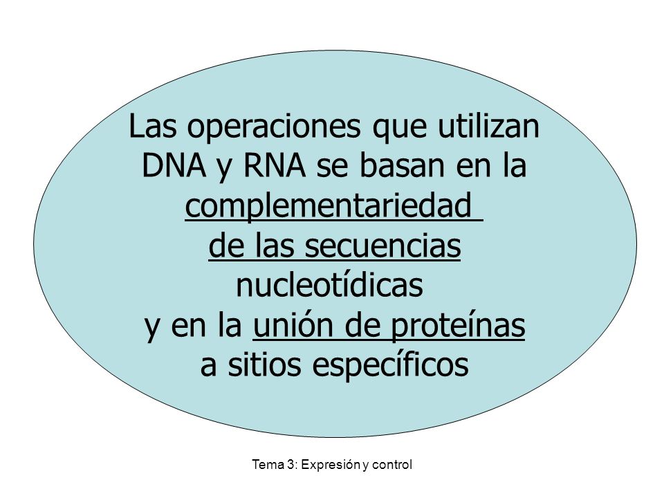 Las operaciones que utilizan DNA y RNA se basan en la