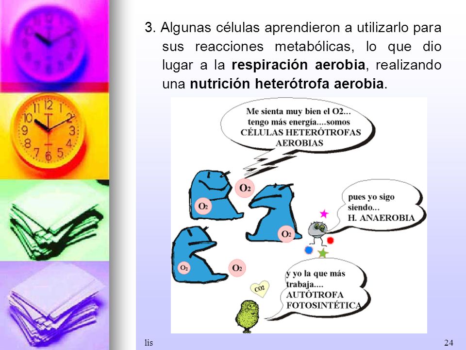 3. Algunas células aprendieron a utilizarlo para sus reacciones metabólicas, lo que dio lugar a la respiración aerobia, realizando una nutrición heterótrofa aerobia.
