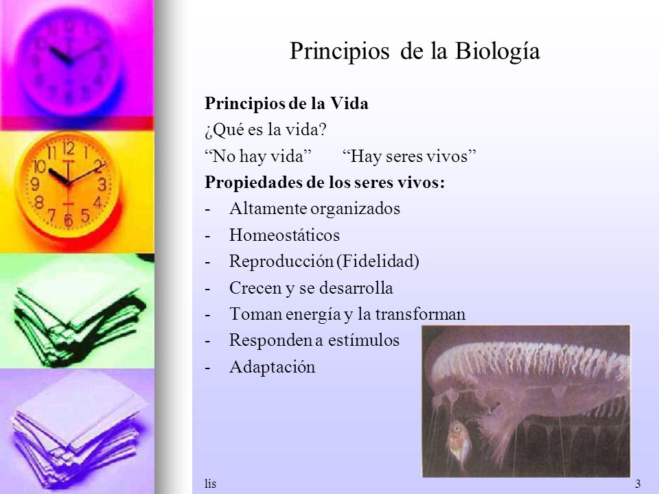 Principios de la Biología