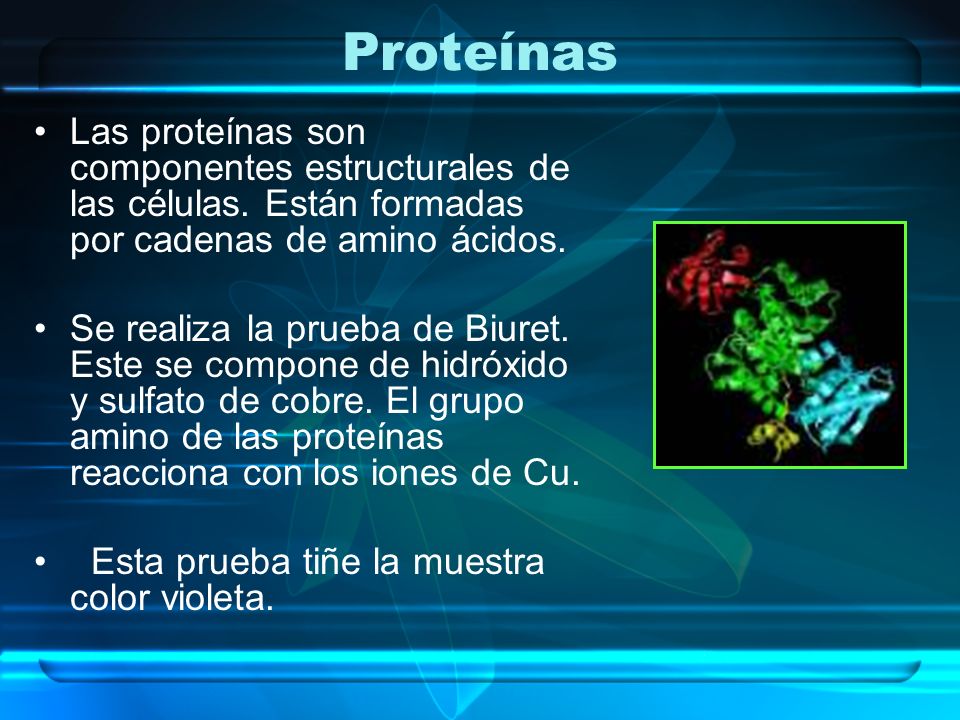 Proteínas Las proteínas son componentes estructurales de las células. Están formadas por cadenas de amino ácidos.