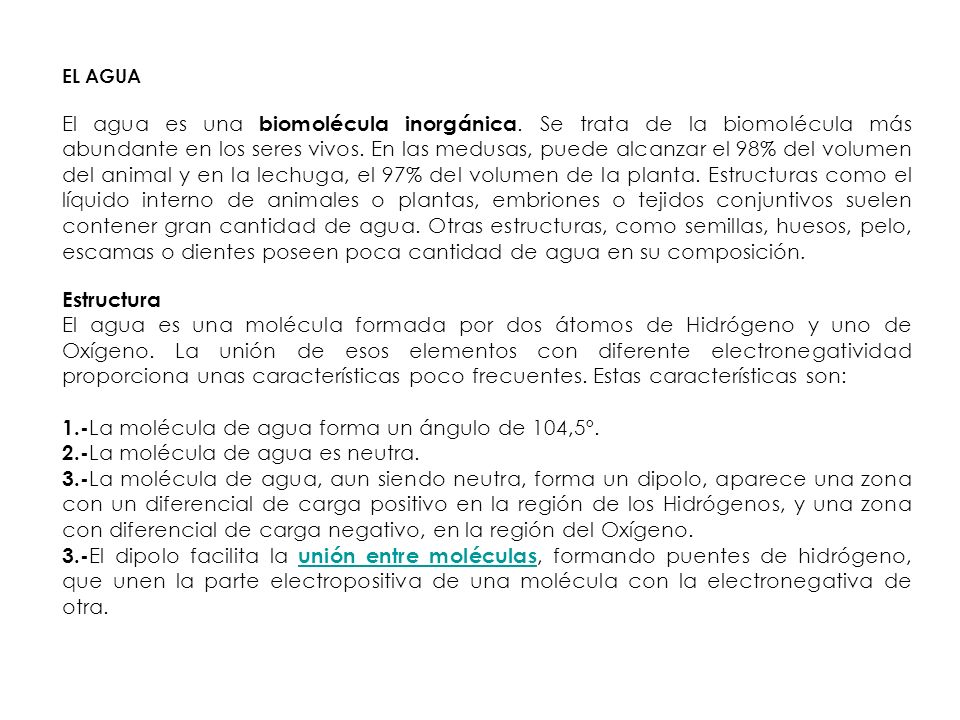 1.-La molécula de agua forma un ángulo de 104,5º.