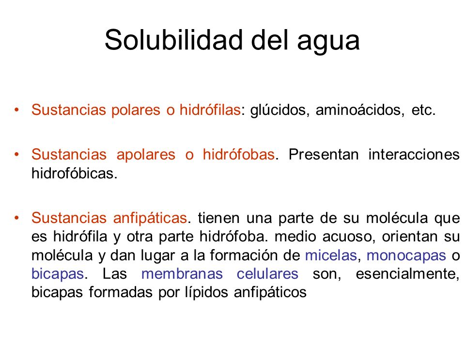 Solubilidad del agua Sustancias polares o hidrófilas: glúcidos, aminoácidos, etc.