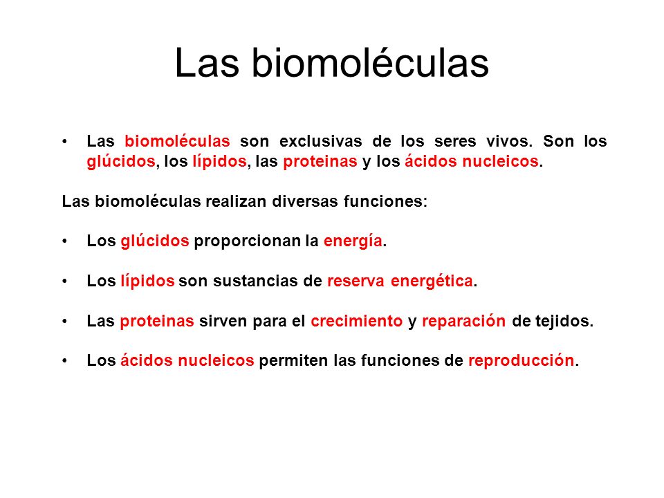 08 Las biomoléculas. Las biomoléculas son exclusivas de los seres vivos. Son los glúcidos, los lípidos, las proteinas y los ácidos nucleicos.