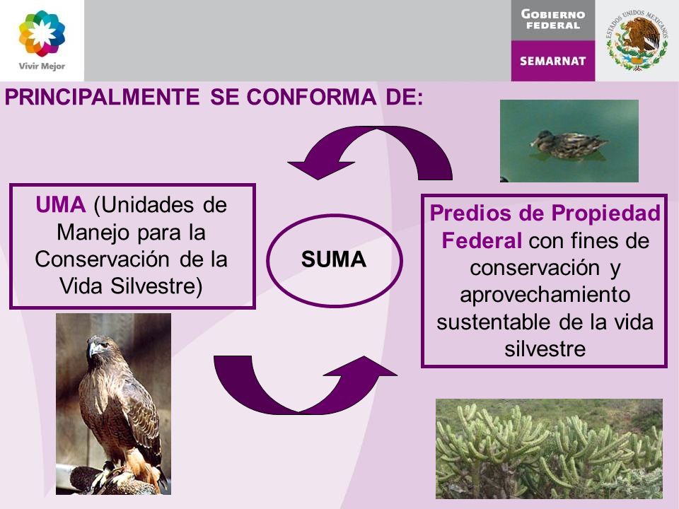 UMA (Unidades de Manejo para la Conservación de la Vida Silvestre)
