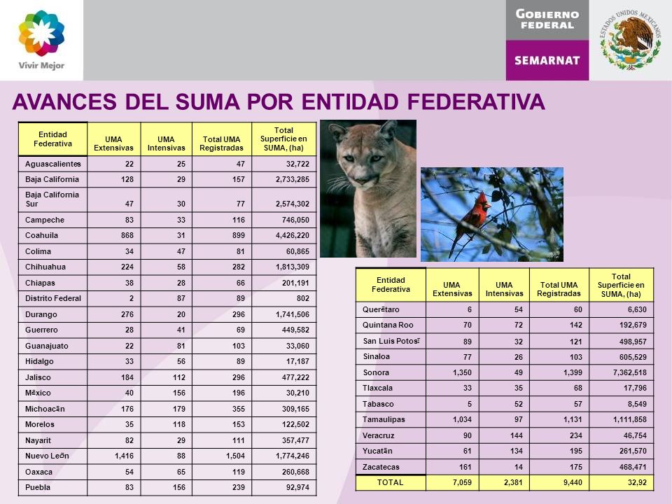 Total Superficie en SUMA, (ha) Total Superficie en SUMA, (ha)
