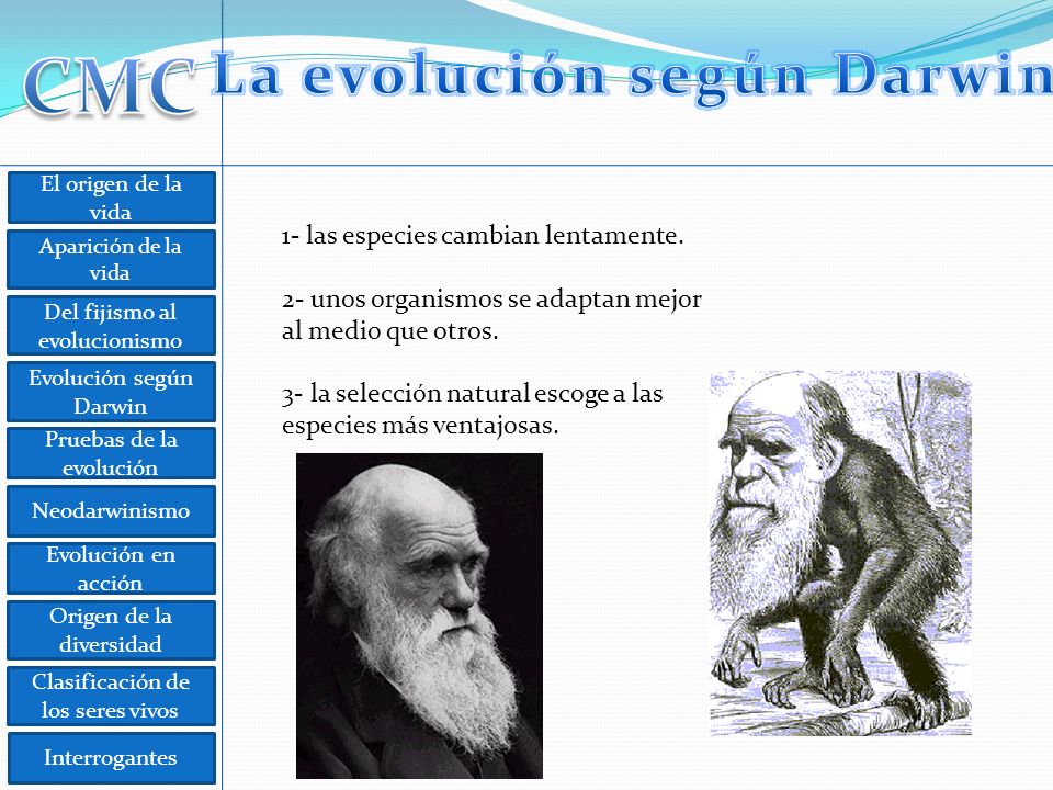 La evolución según Darwin