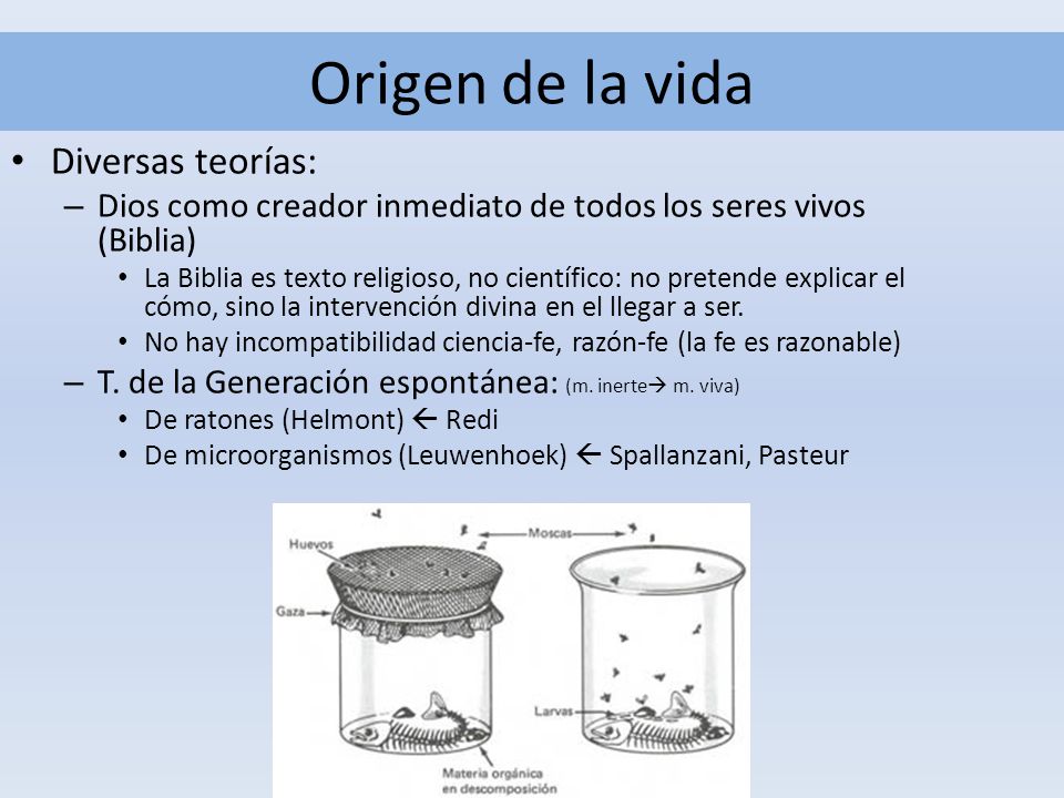 Origen de la vida Diversas teorías: