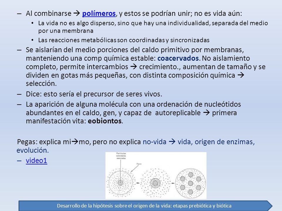 Al combinarse  polímeros, y estos se podrían unir; no es vida aún: