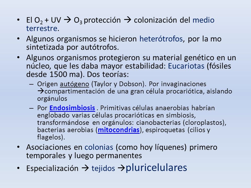 El O2 + UV  O3 protección  colonización del medio terrestre.
