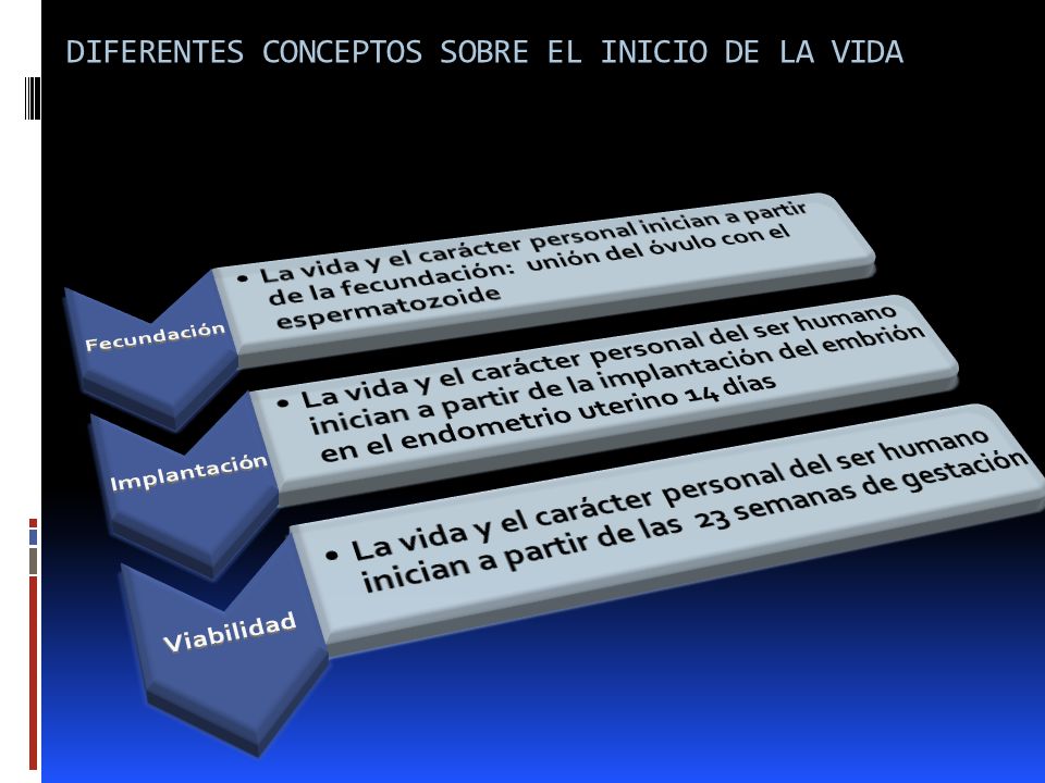 DIFERENTES CONCEPTOS SOBRE EL INICIO DE LA VIDA