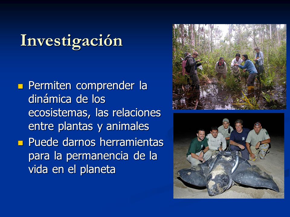 Investigación Permiten comprender la dinámica de los ecosistemas, las relaciones entre plantas y animales.