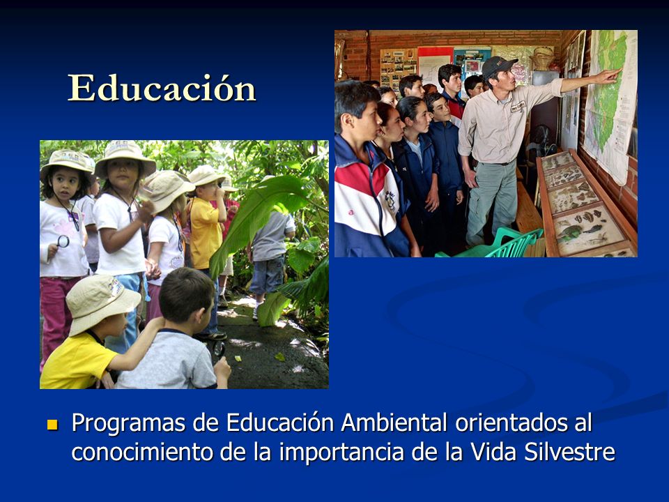 Educación Programas de Educación Ambiental orientados al conocimiento de la importancia de la Vida Silvestre.