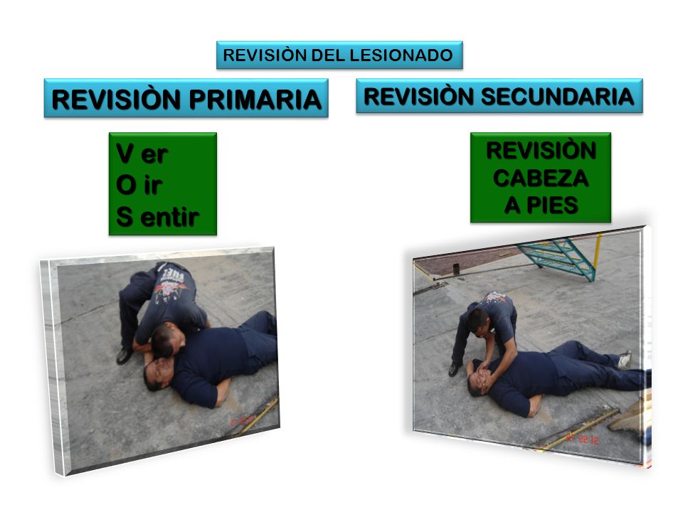 REVISIÒN PRIMARIA V er O ir S entir REVISIÒN SECUNDARIA REVISIÒN