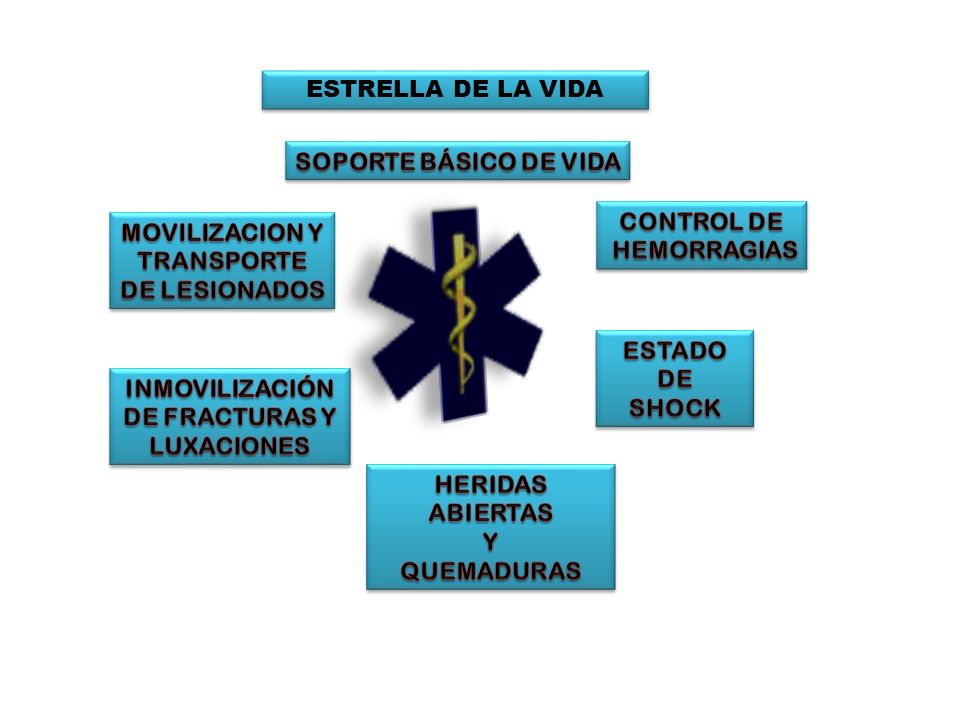 ESTRELLA DE LA VIDA SOPORTE BÁSICO DE VIDA. CONTROL DE. HEMORRAGIAS. MOVILIZACION Y. TRANSPORTE.