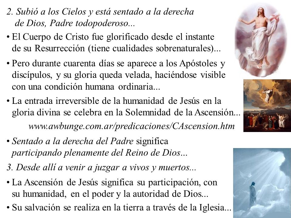 2. Subió a los Cielos y está sentado a la derecha de Dios, Padre todopoderoso...