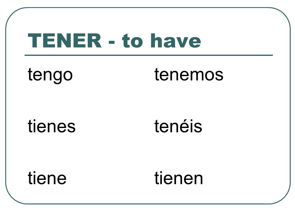 TENER - to have tengo tienes tiene tenemos tenéis tienen