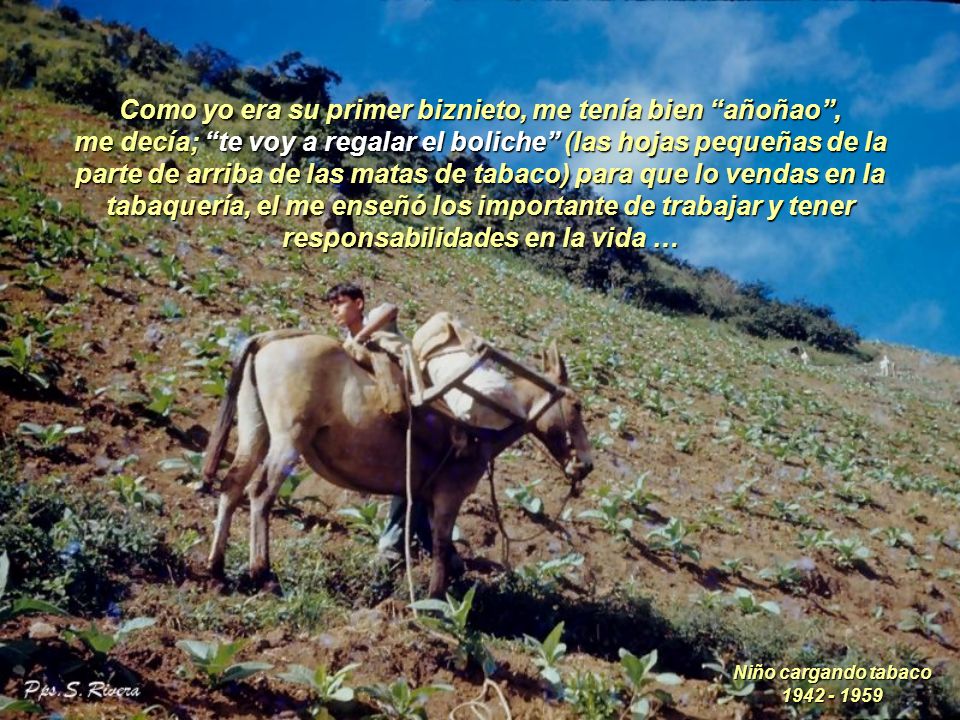 Como yo era su primer biznieto, me tenía bien añoñao ,