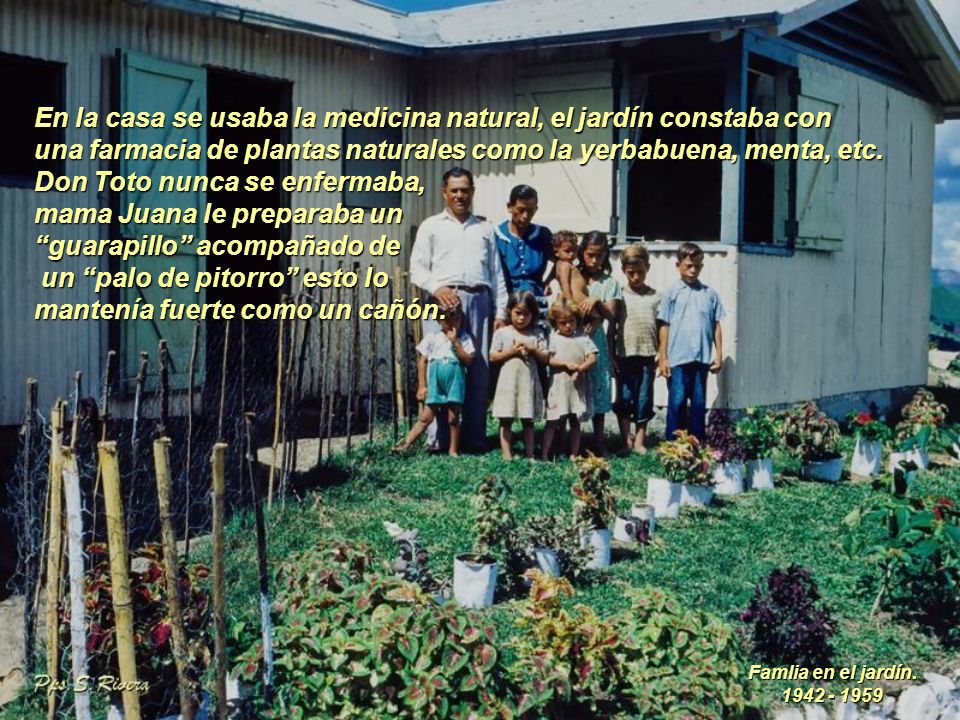 En la casa se usaba la medicina natural, el jardín constaba con