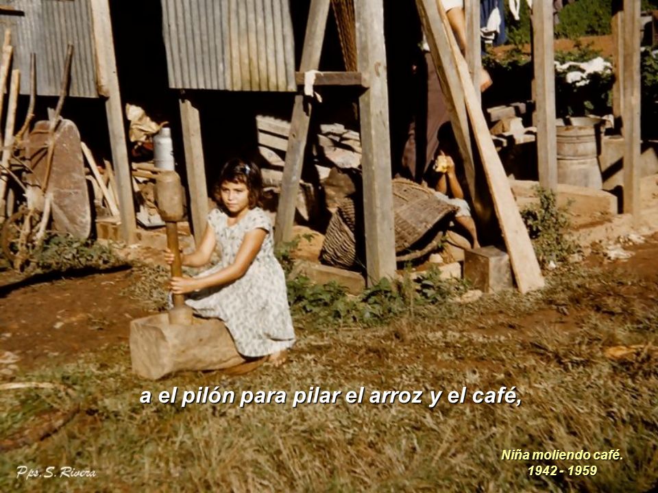 a el pilón para pilar el arroz y el café,