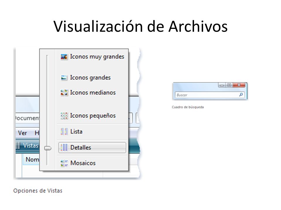 Visualización de Archivos