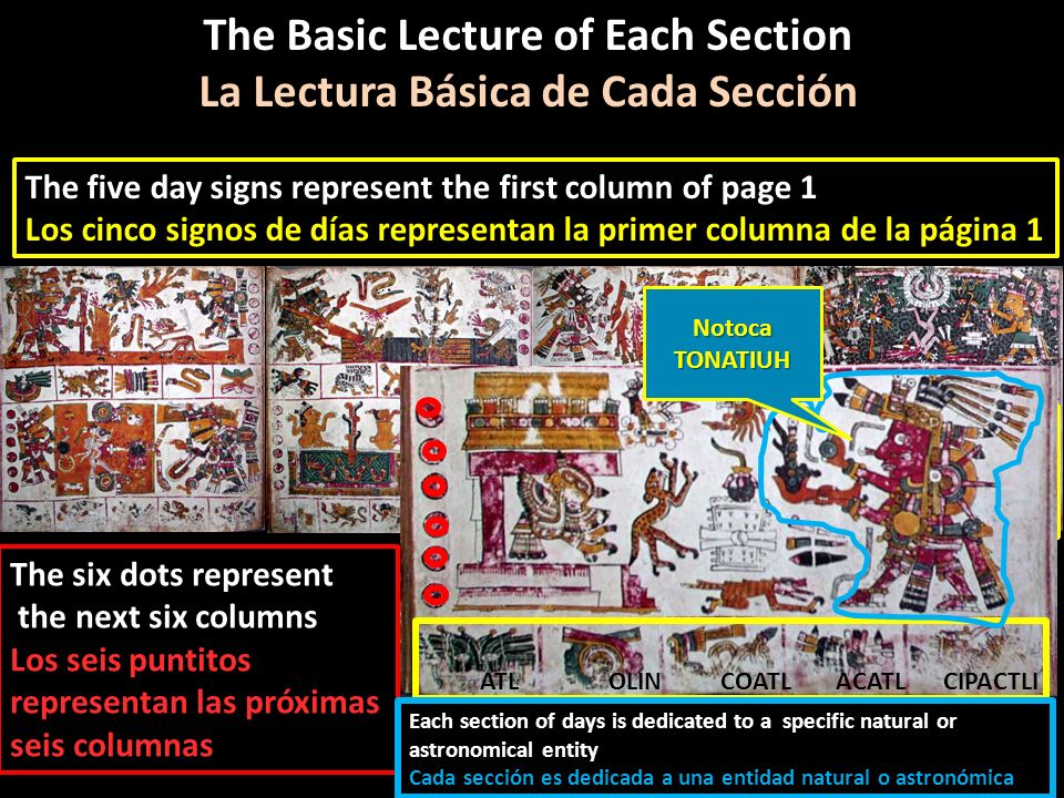 The Basic Lecture of Each Section La Lectura Básica de Cada Sección