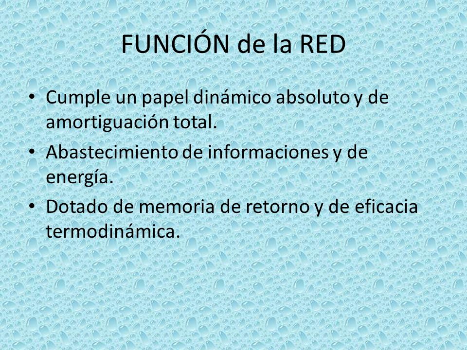 FUNCIÓN de la RED Cumple un papel dinámico absoluto y de amortiguación total. Abastecimiento de informaciones y de energía.
