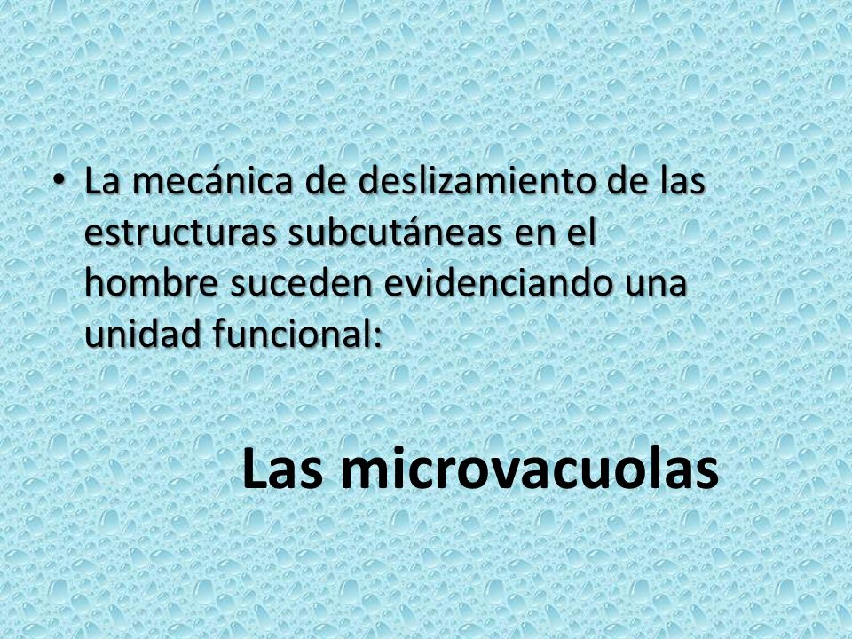 La mecánica de deslizamiento de las estructuras subcutáneas en el hombre suceden evidenciando una unidad funcional: