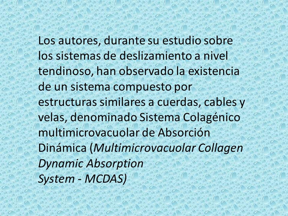 Los autores, durante su estudio sobre los sistemas de deslizamiento a nivel tendinoso, han observado la existencia de un sistema compuesto por