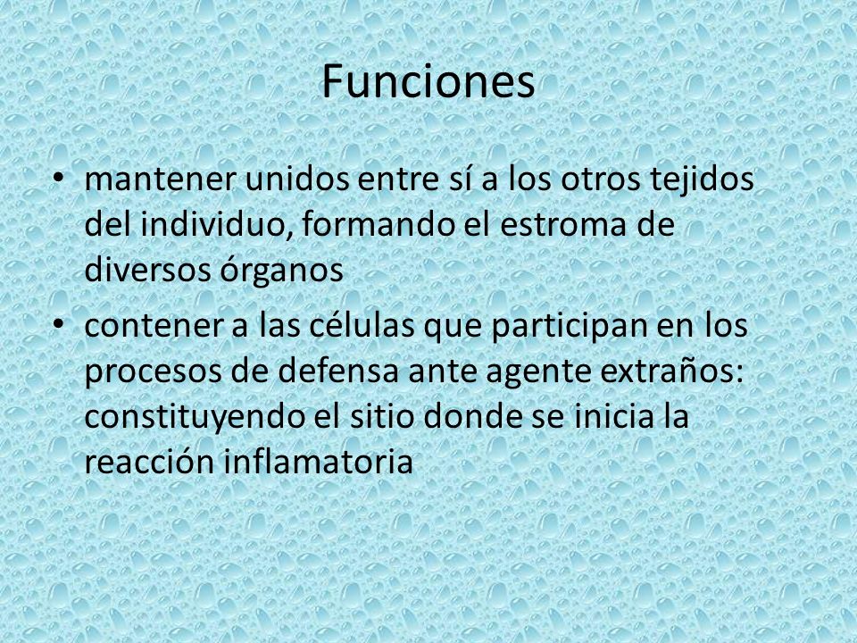 Funciones mantener unidos entre sí a los otros tejidos del individuo, formando el estroma de diversos órganos.