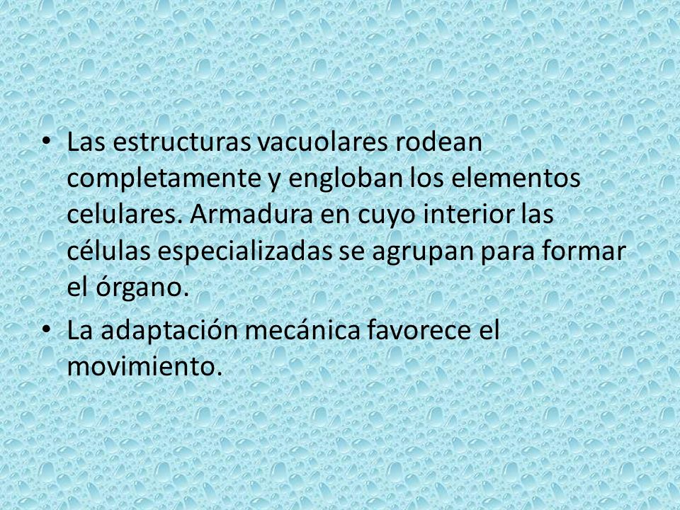Las estructuras vacuolares rodean completamente y engloban los elementos celulares. Armadura en cuyo interior las células especializadas se agrupan para formar el órgano.