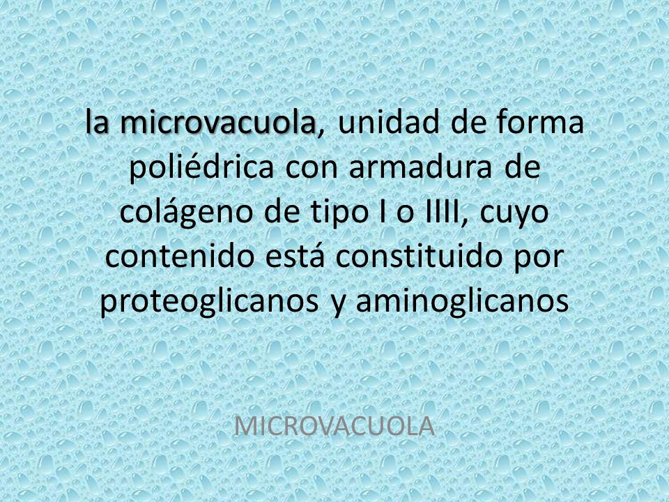 la microvacuola, unidad de forma poliédrica con armadura de colágeno de tipo I o IIII, cuyo contenido está constituido por proteoglicanos y aminoglicanos