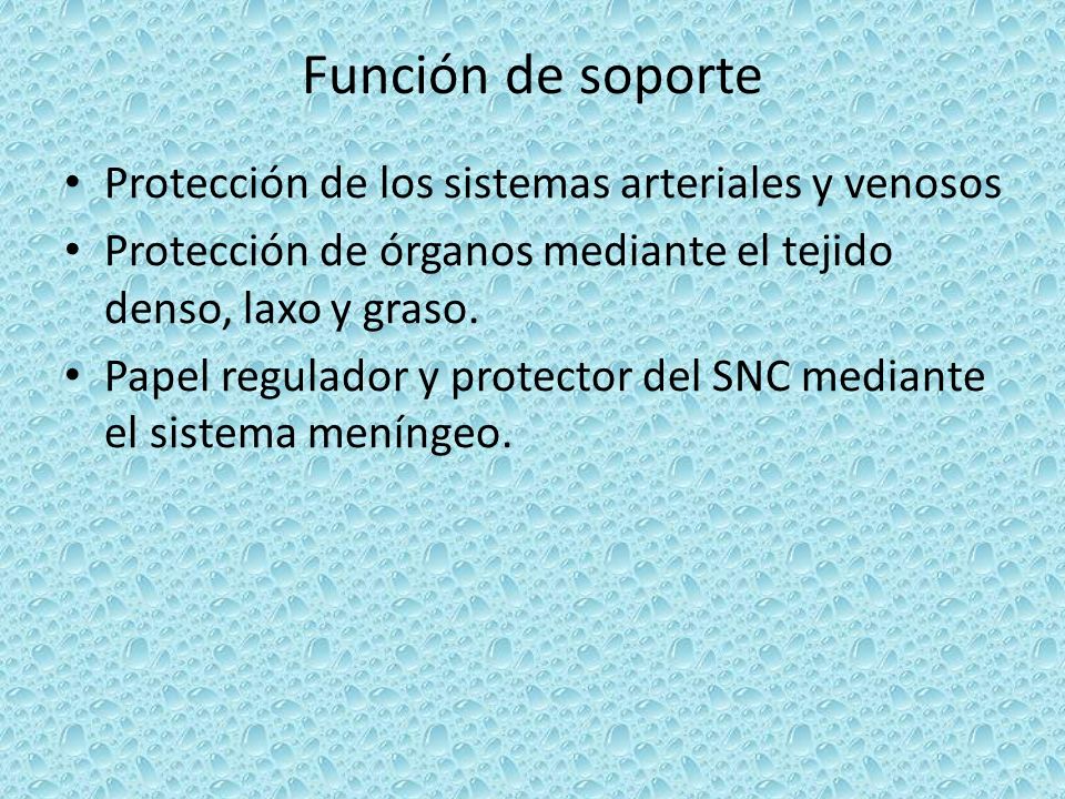 Función de soporte Protección de los sistemas arteriales y venosos