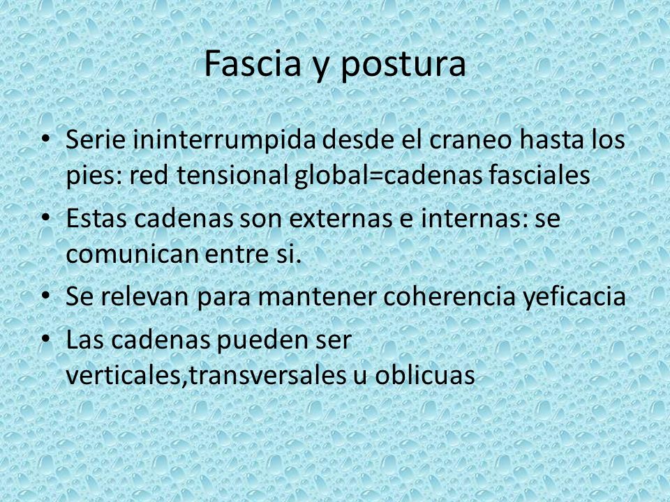 Fascia y postura Serie ininterrumpida desde el craneo hasta los pies: red tensional global=cadenas fasciales.