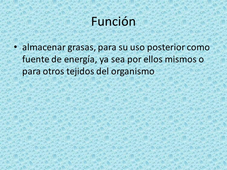 Función almacenar grasas, para su uso posterior como fuente de energía, ya sea por ellos mismos o para otros tejidos del organismo.
