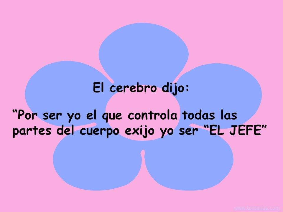 El cerebro dijo: Por ser yo el que controla todas las partes del cuerpo exijo yo ser EL JEFE