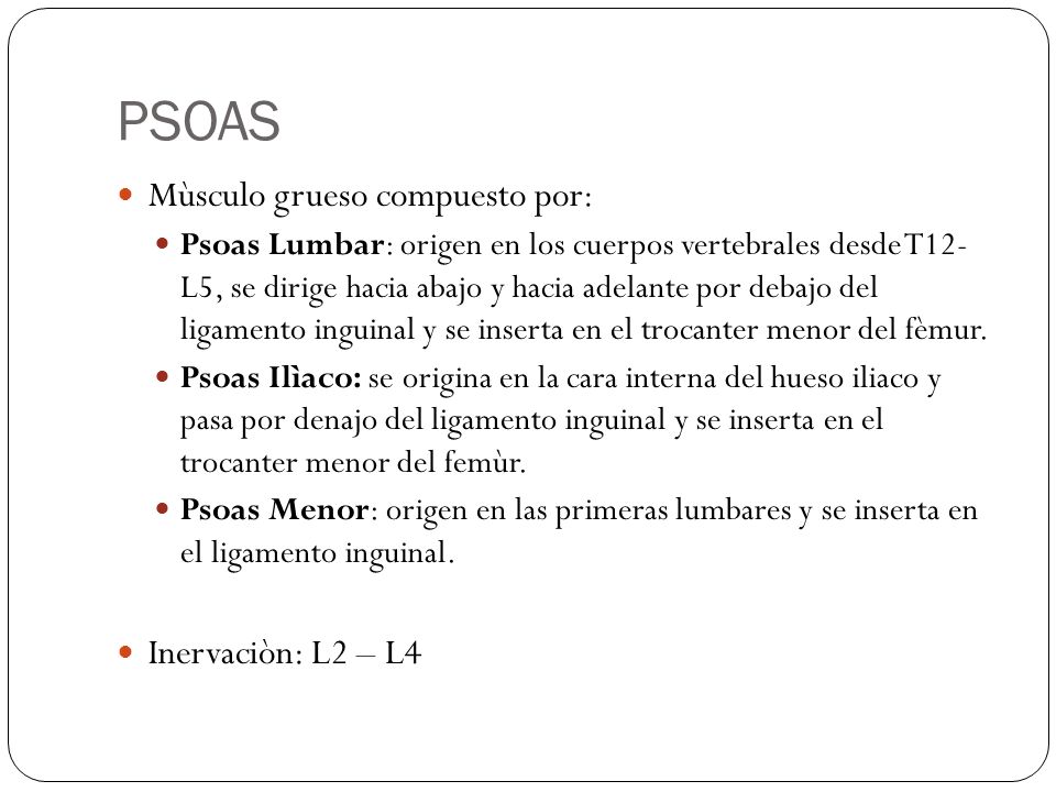 PSOAS Mùsculo grueso compuesto por: Inervaciòn: L2 – L4
